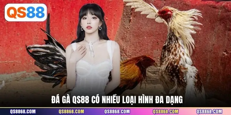 Đá gà QS88 có nhiều loại hình đa dạng